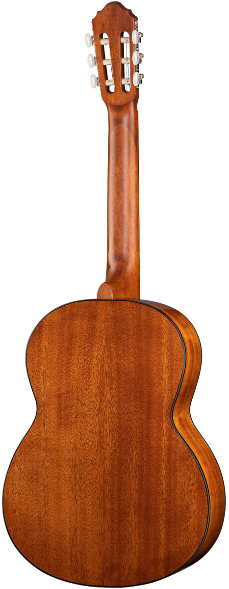 AC100-SG-1.jpg